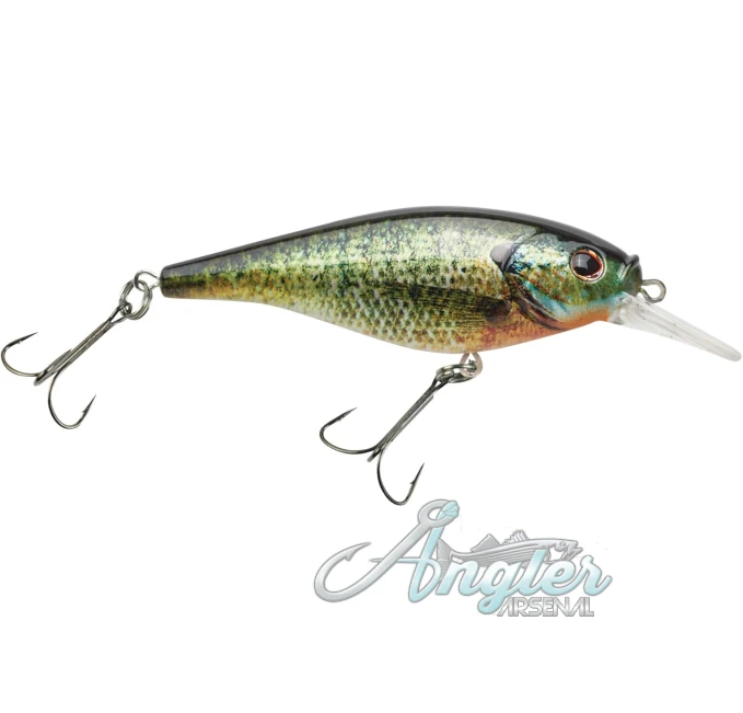 Berkley Flicker Shad Shallow Lure HD Bluegill Angler Arsenal Fishing
