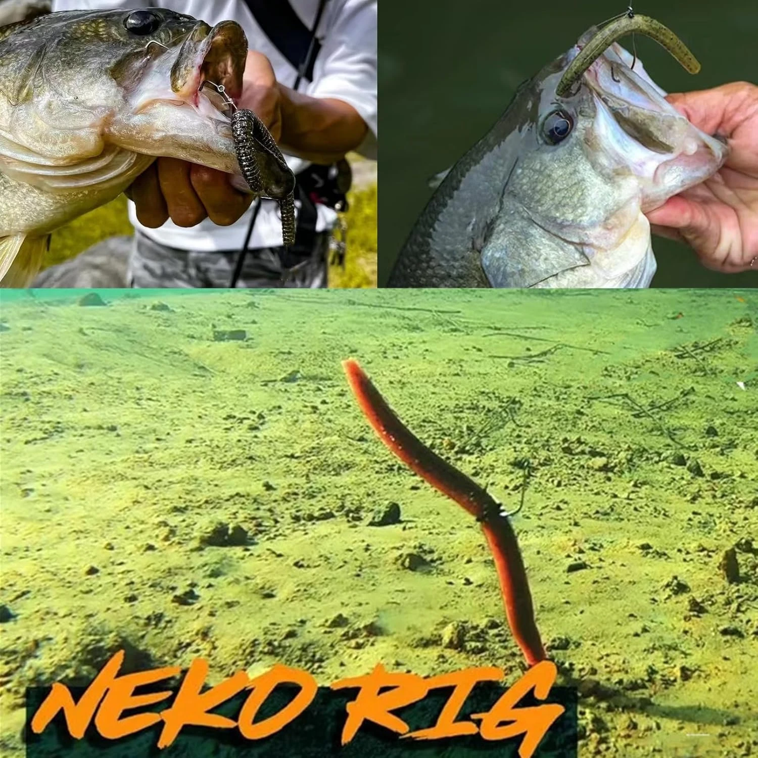 DAMIDEL 30PCS Wacky Worms Soft Fishing Lures Angler Arsenal Kit - Image 2