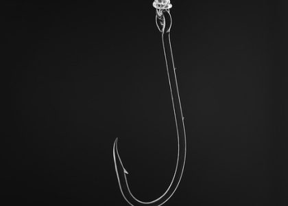Hooked on Success: The Best Baits for Every Fishing Trip